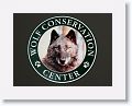 NYwolf 002 * Check out the visitor preview video Pat and I made for the Wolf Conservation Center at http://www.youtube.com/watch?v=TV9-iy1sQbQ * Check out the visitor preview video Pat and I made for the Wolf Conservation Center at http://www.youtube.com/watch?v=TV9-iy1sQbQ